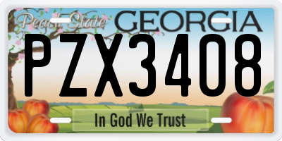 GA license plate PZX3408