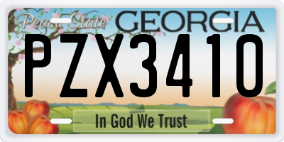 GA license plate PZX3410