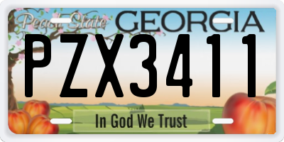 GA license plate PZX3411