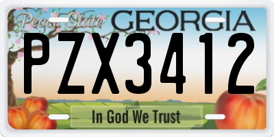 GA license plate PZX3412