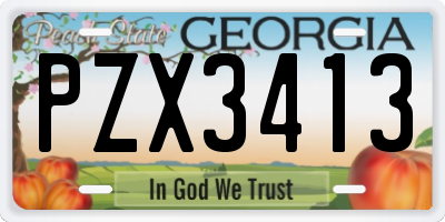 GA license plate PZX3413