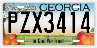 GA license plate PZX3414