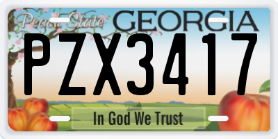 GA license plate PZX3417