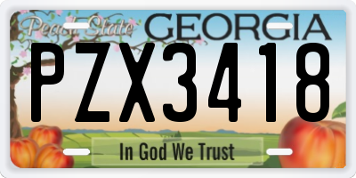 GA license plate PZX3418