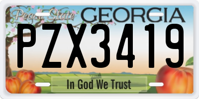 GA license plate PZX3419
