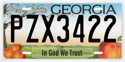 GA license plate PZX3422