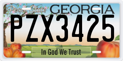 GA license plate PZX3425