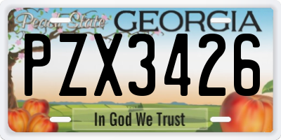 GA license plate PZX3426