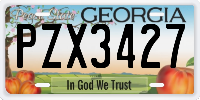 GA license plate PZX3427