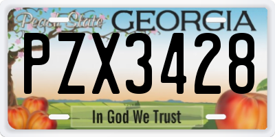 GA license plate PZX3428