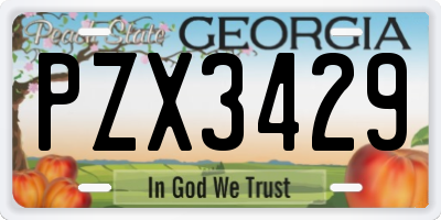 GA license plate PZX3429