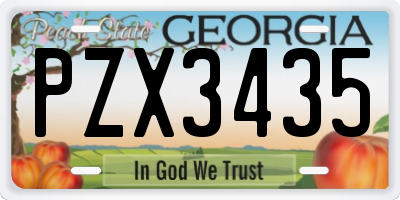 GA license plate PZX3435