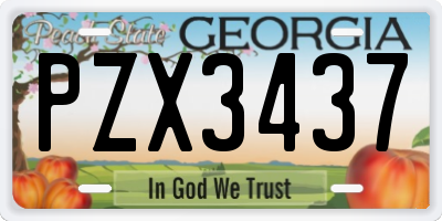 GA license plate PZX3437