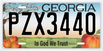GA license plate PZX3440
