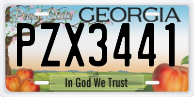 GA license plate PZX3441