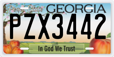 GA license plate PZX3442