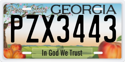 GA license plate PZX3443