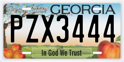 GA license plate PZX3444