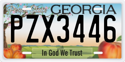 GA license plate PZX3446