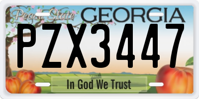 GA license plate PZX3447