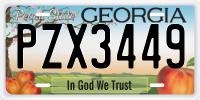 GA license plate PZX3449