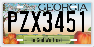 GA license plate PZX3451