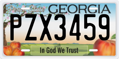GA license plate PZX3459