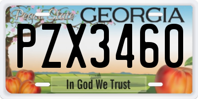 GA license plate PZX3460