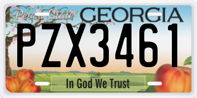 GA license plate PZX3461