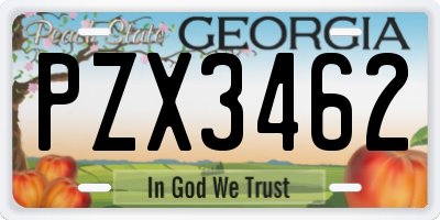 GA license plate PZX3462