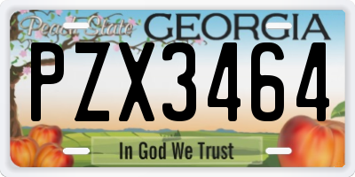 GA license plate PZX3464