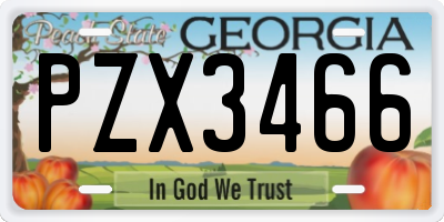 GA license plate PZX3466