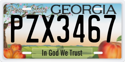GA license plate PZX3467