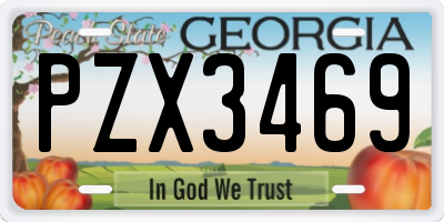 GA license plate PZX3469