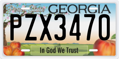 GA license plate PZX3470