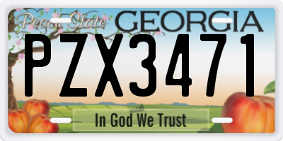 GA license plate PZX3471
