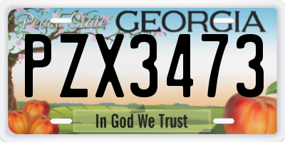 GA license plate PZX3473