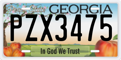 GA license plate PZX3475