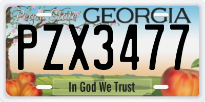 GA license plate PZX3477
