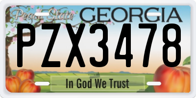 GA license plate PZX3478