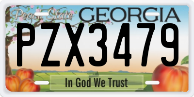 GA license plate PZX3479