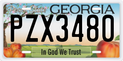 GA license plate PZX3480