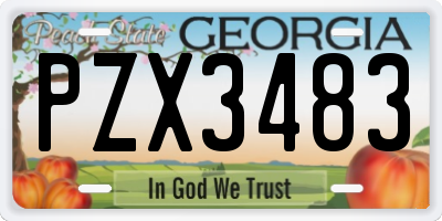 GA license plate PZX3483