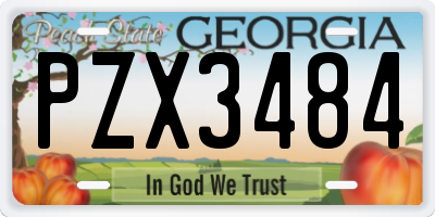 GA license plate PZX3484