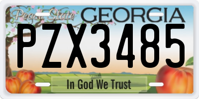 GA license plate PZX3485