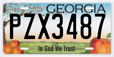 GA license plate PZX3487