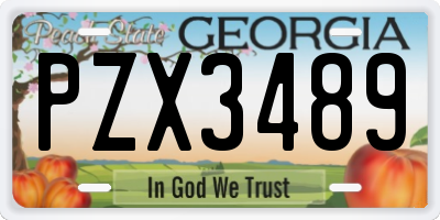 GA license plate PZX3489