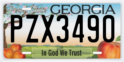 GA license plate PZX3490
