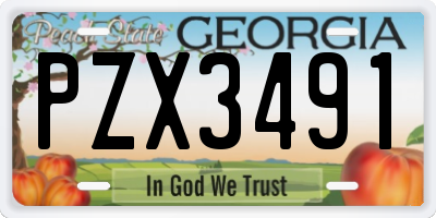 GA license plate PZX3491