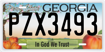 GA license plate PZX3493